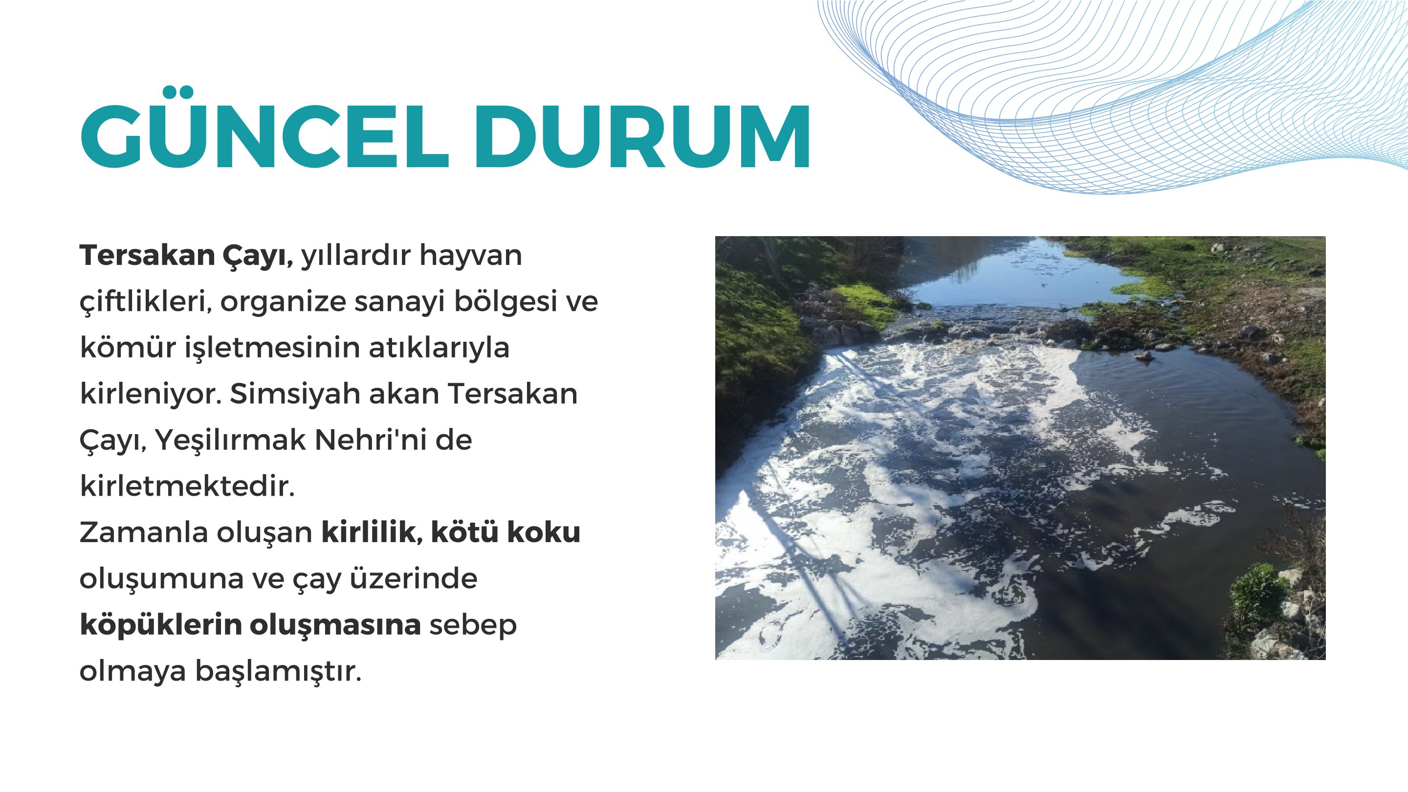 Amasya Tersakan Projesi 3